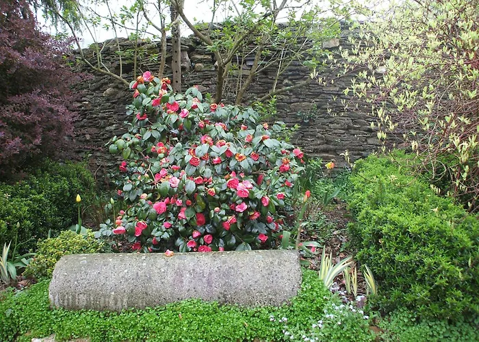 Bed & Breakfast La Haye Et D'hotes