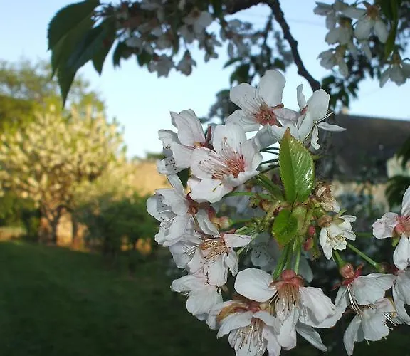 La Haye Et D'hotes 3* Avrillé
